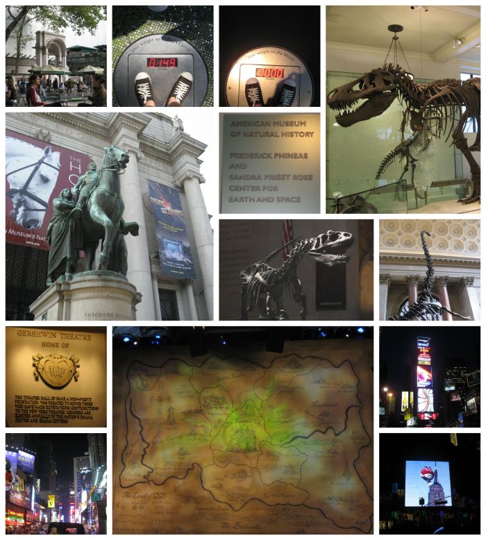 Museu de História Natural e Times Square (assisti Wicked na Brodway, que maravilha!)