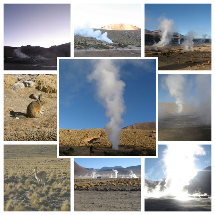 Gêiseres del Tatio