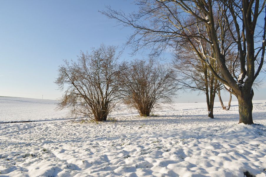 Roteiro de viagem para Rothenburg ob der Tauber Alemanha, cidada da Rota Romântica - Inverno muito frio e nevado