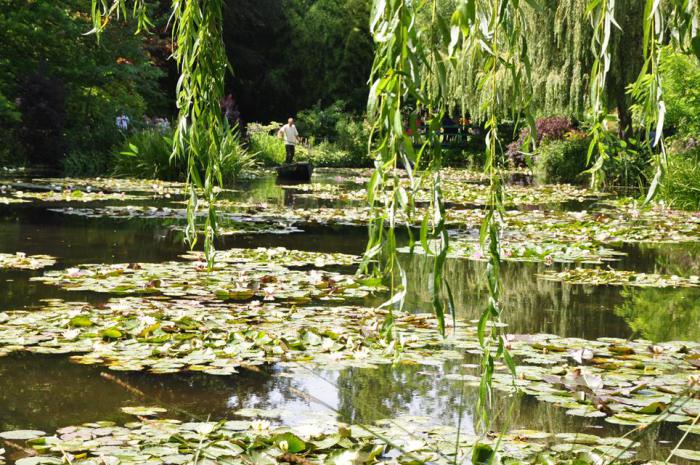 Giverny (6)