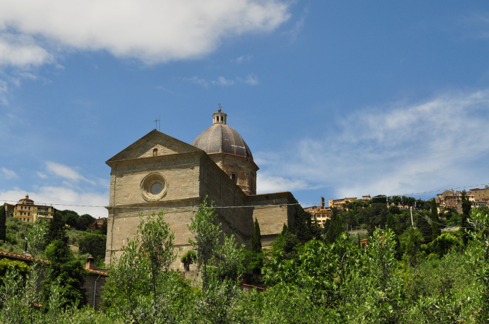 Montepulciano (6)