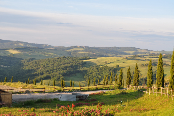 volterra (13)