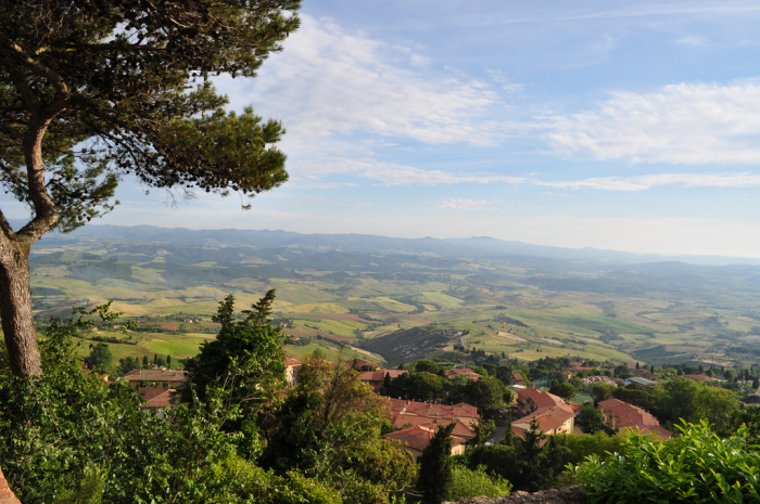 volterra (9)