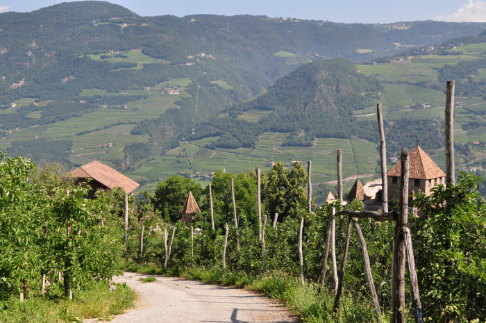 Vinícolas em Bozen