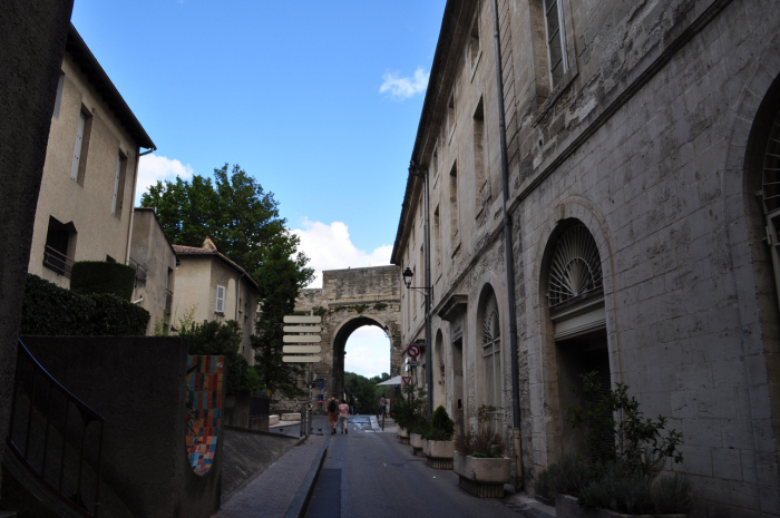 avignon (1)