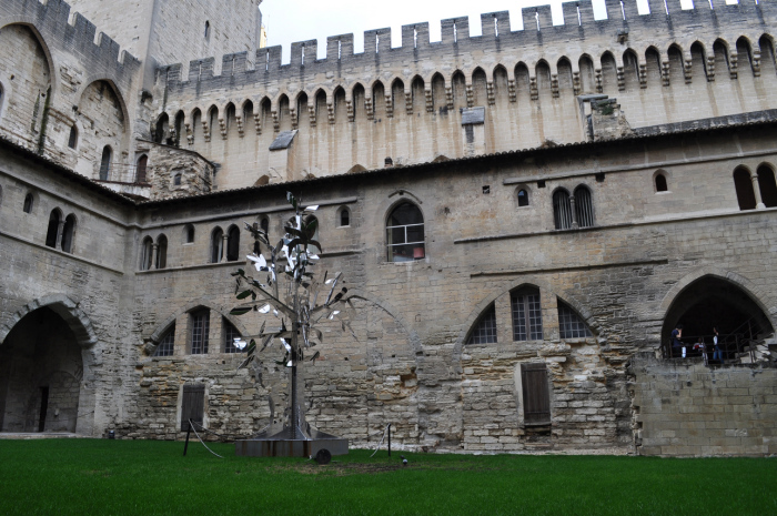 avignon (18)