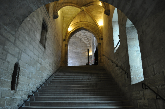 avignon (26)