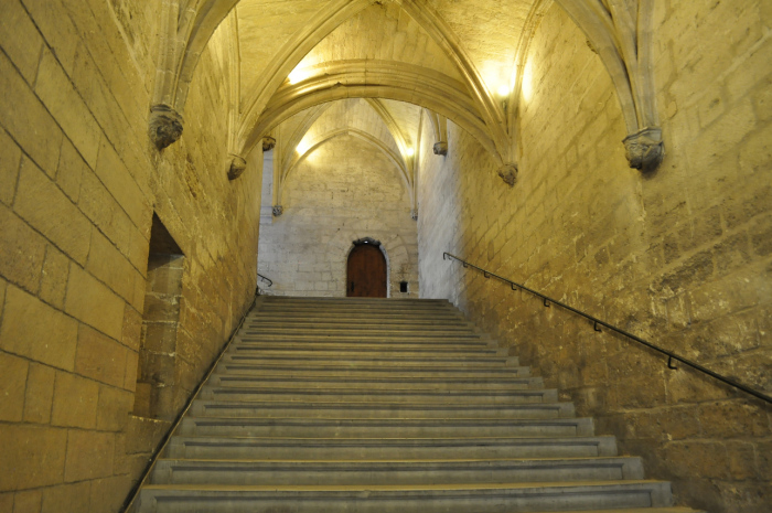 avignon (27)