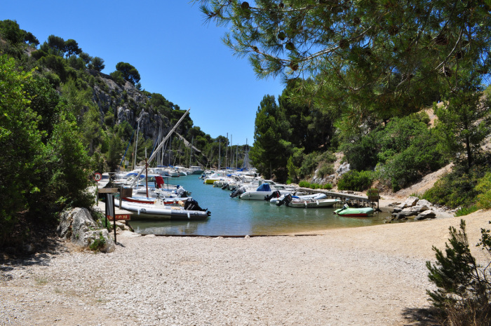 cassis (1)