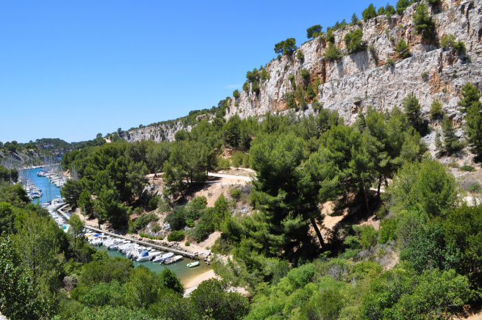 cassis (2)