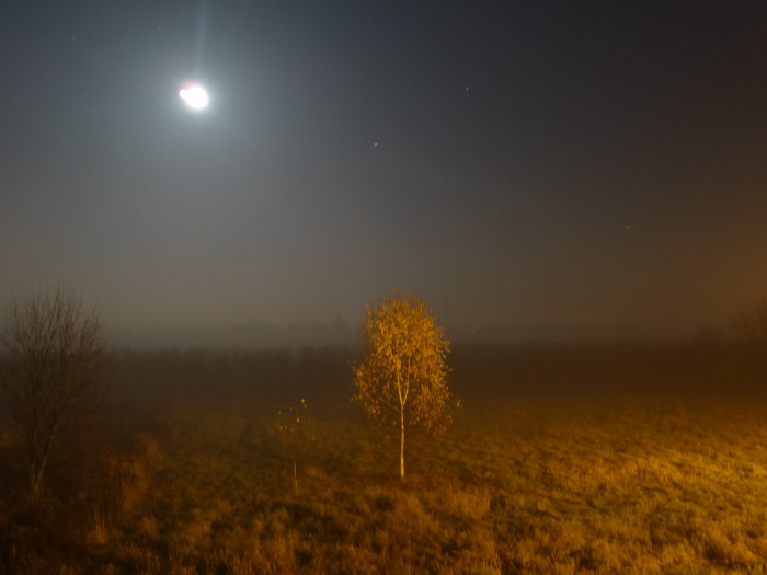 Grójec, Polônia