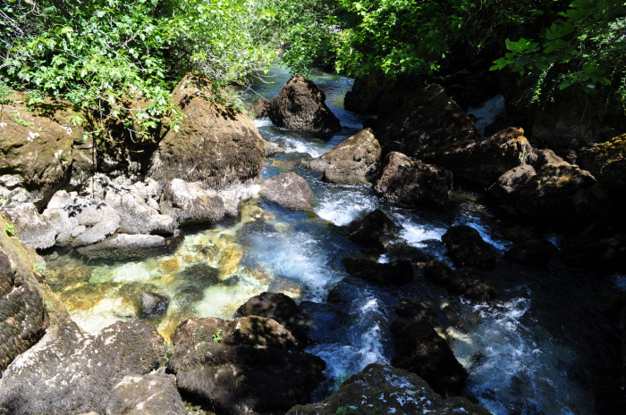 fontaine (14)