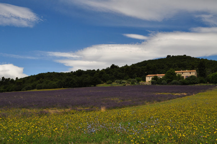 manosque (2)