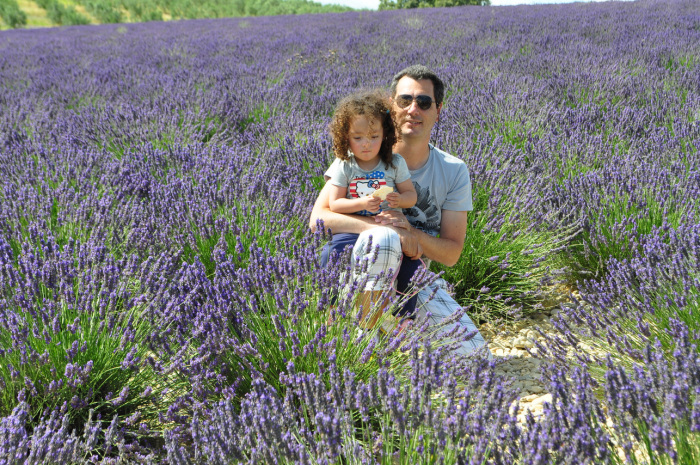 valensole