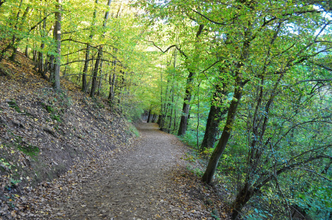 Trilha a pé para o Burg Eltz Alemanha