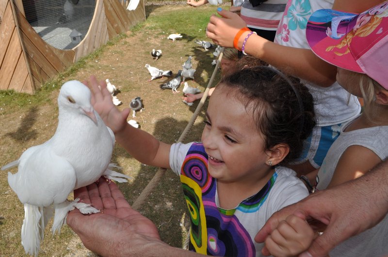 Atrações do parque do Pequeno Príncipe na região da Alsácia, França - Encontro com pombos