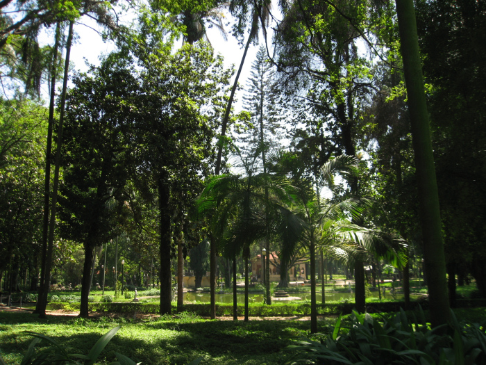 Muitas árvores na Praça da Luz