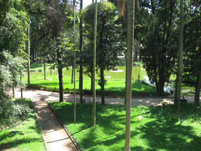 Um respiro verde na cidade de concreto