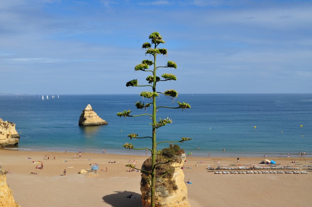 Praia Dona Ana em Lagos, Região do Algarve, Portugal