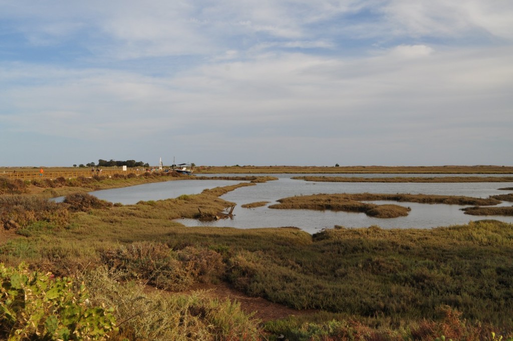 No caminho para Praia do Barril em Tavira, Portugal