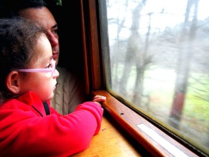 Dampfzug Trem Maria-fumaça Ettlingen Alemanha