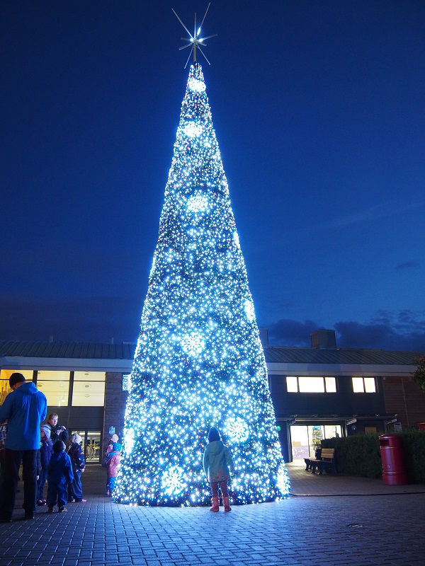 Parque da Peppa Pig (Peppa Pig World) - Arvore de Natal