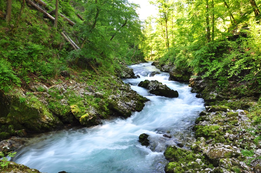 Por que viajar para a Eslovênia - Trilha de Vintgar Gorge