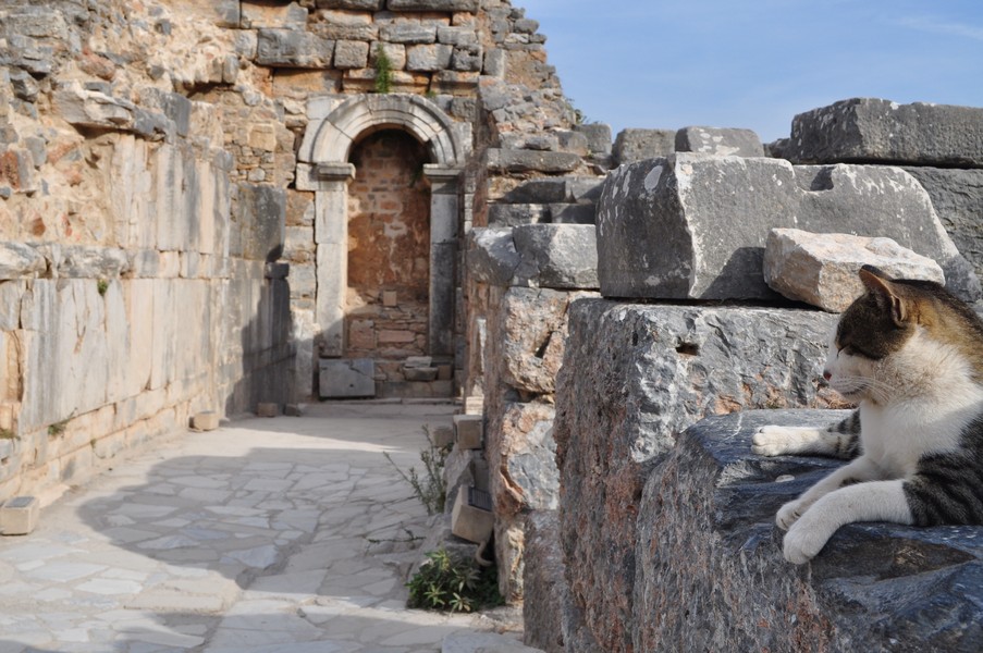 Pamukkale-Hierápolis e Éfeso na Turquia - As ruínas de Éfeso