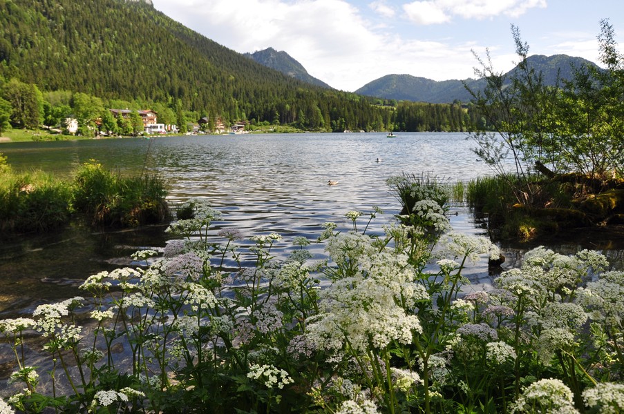 Berchtesgadener Land, Região da Baviera no sul da Alemanha - Hintersee