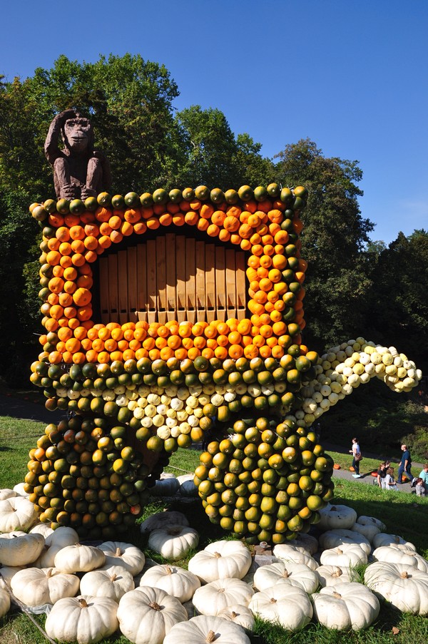 Ludwigsburg Alemanha- Kurbisausstellung