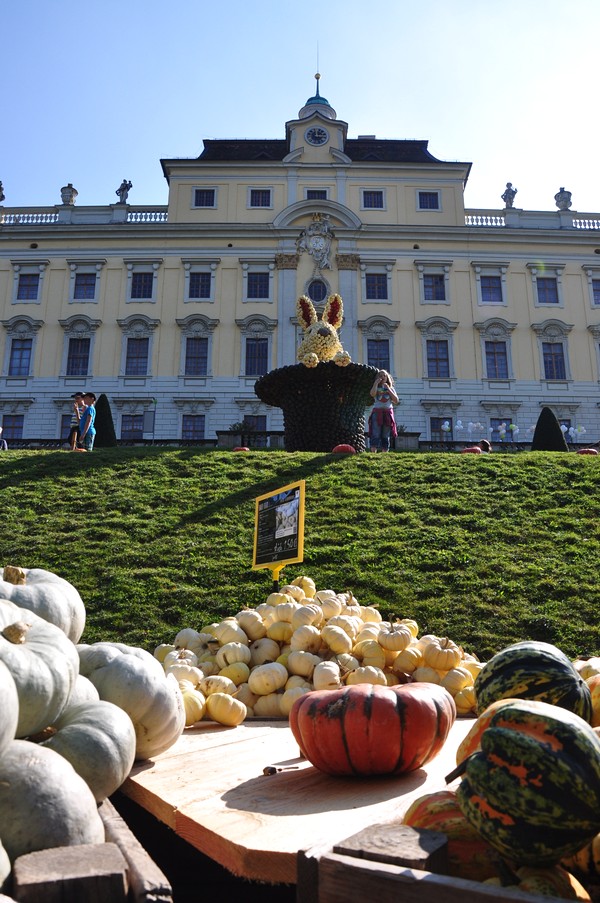 Ludwigsburg Alemanha- Kurbisausstellung