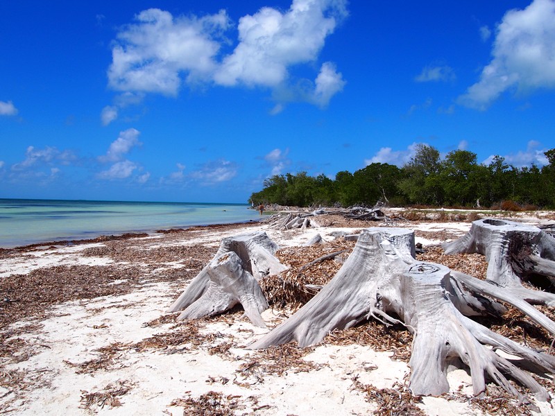 Viagem Varadero Cayo Blanco Cuba - Tour para a ilha de Cayo Blanco