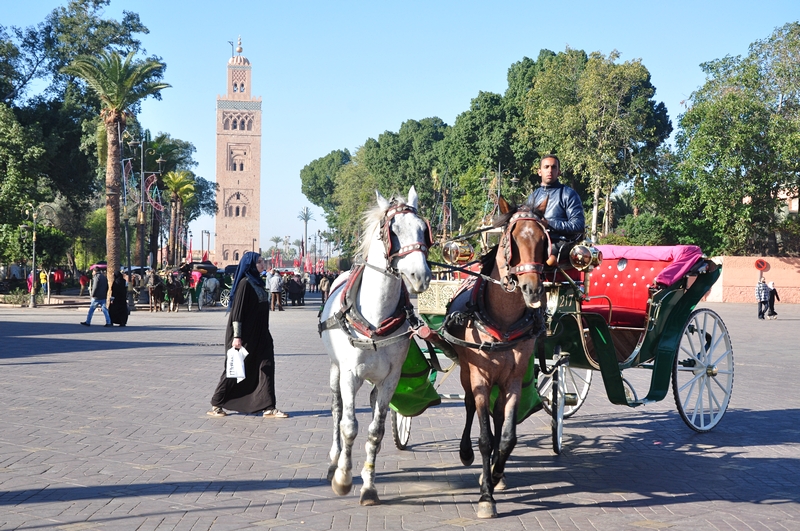 Fotos de Marraquexe em Marrocos - Praça Jemaa el Fna