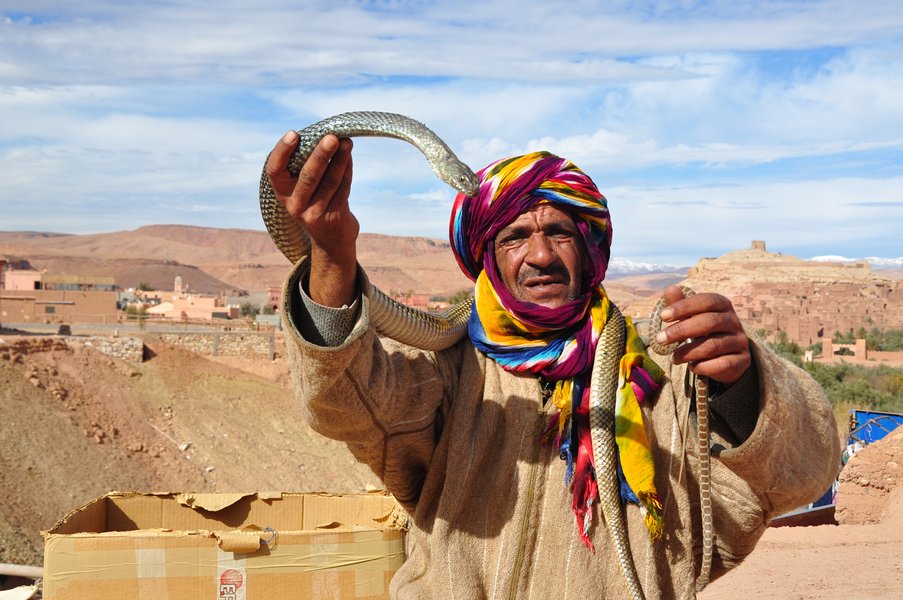 Dicas Viagem Marakech em Marrocos - Vendedores e artistas marroquinos na Praça Jemaa el Fna em Marraquexe e outros locais