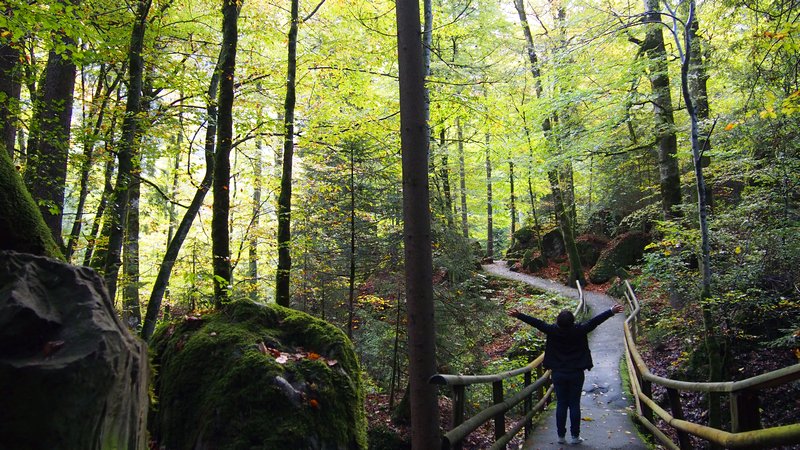 Lago Blausee Suíça - Entrada do parque e início da trilha