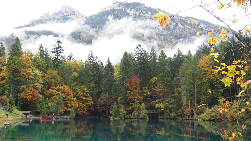 Lago Blausee Suíça - O lago Blausee e sua cor azul turqueza