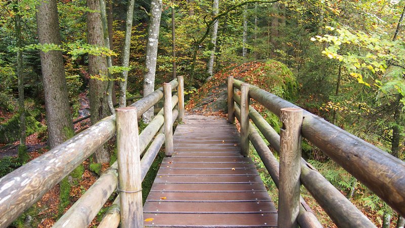 Lago Blausee Suíça - Passeio no parque