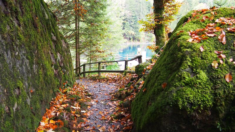 Lago Blausee Suíça - Passeio no parque