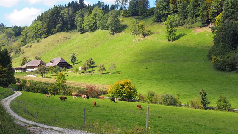 Hotel Berna Suíça - Cidade de Signau na Região do Emmental