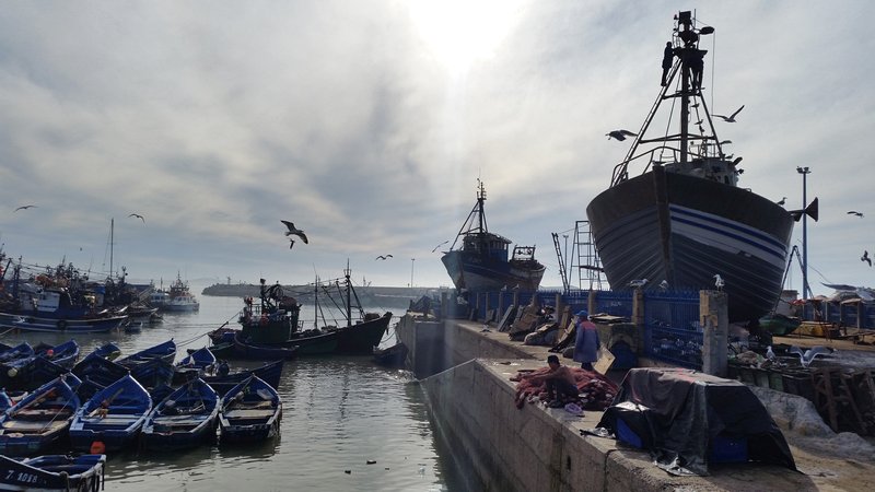 Viagem Marrakech Essaouira Marrocos - Os barcos azuis no Porto de Essaouira