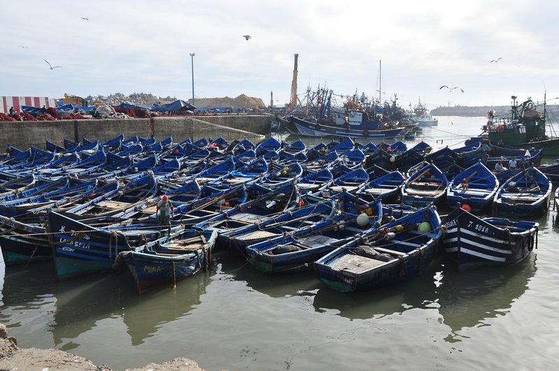 Viagem Marrakech Essaouira Marrocos - Os barcos azuis no Porto de Essaouira
