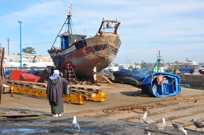 Viagem Marrakech Essaouira Marrocos - Os barcos azuis no Porto de Essaouira