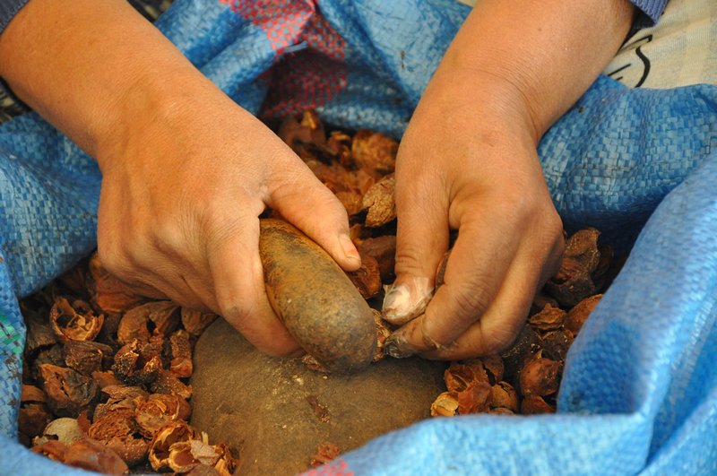 Viagem Marrakech Essaouira Marrocos - Cooperativa feminina que produz óleo de argan