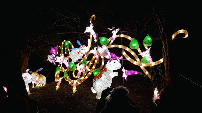 Magical Lantern Festival Londres - Coelho no país das maravilhas