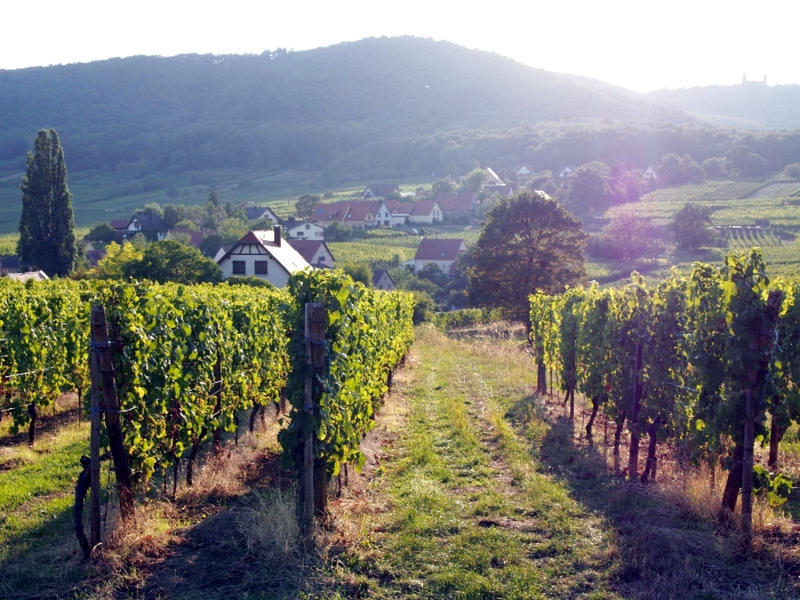 As Mais Belas Vilas da França - Mittelbergheim uma das Les Plus Beaux Villages de France na Alsácia, França