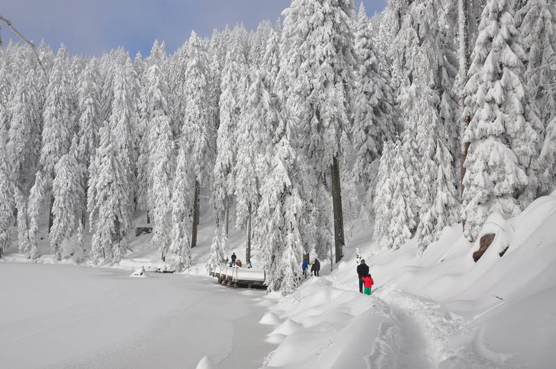 floresta negra mummelsee seebach baden wurttemberg alemanha - Passeando no inverno