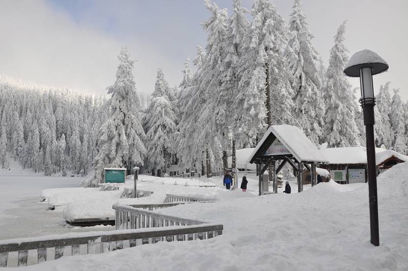 floresta negra mummelsee seebach baden wurttemberg alemanha - Passeando no inverno