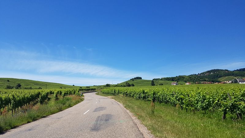 Dirigindo de carro pela região da Alsácia na França