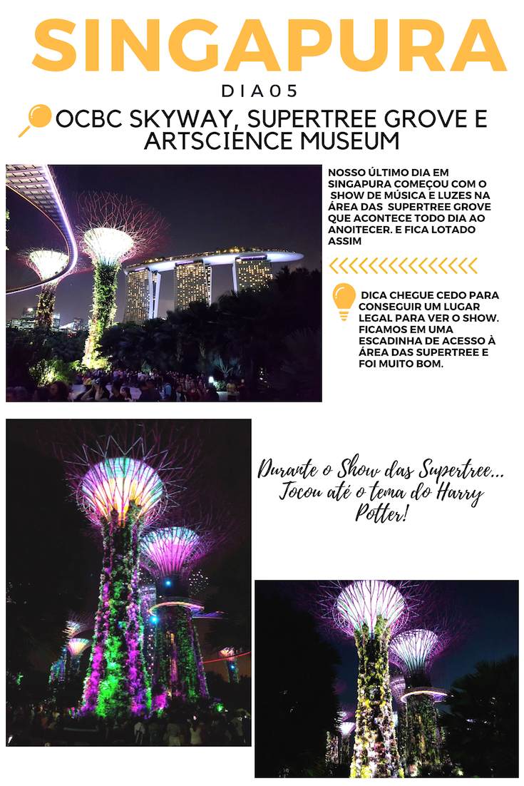 Singapura Artscience Museum, OBC Skyway e Supertree Grove