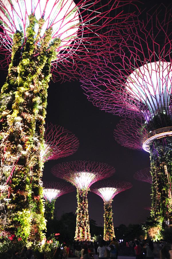 Locações em Singapura mostrados no filme Podres de Ricos (Crazy Rich Asians, 2018) - Supertrees no Gardens by the Bay